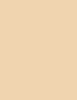 Artdeco Camouflage Cream 4,5 ml - 4,5ml - Korektor
