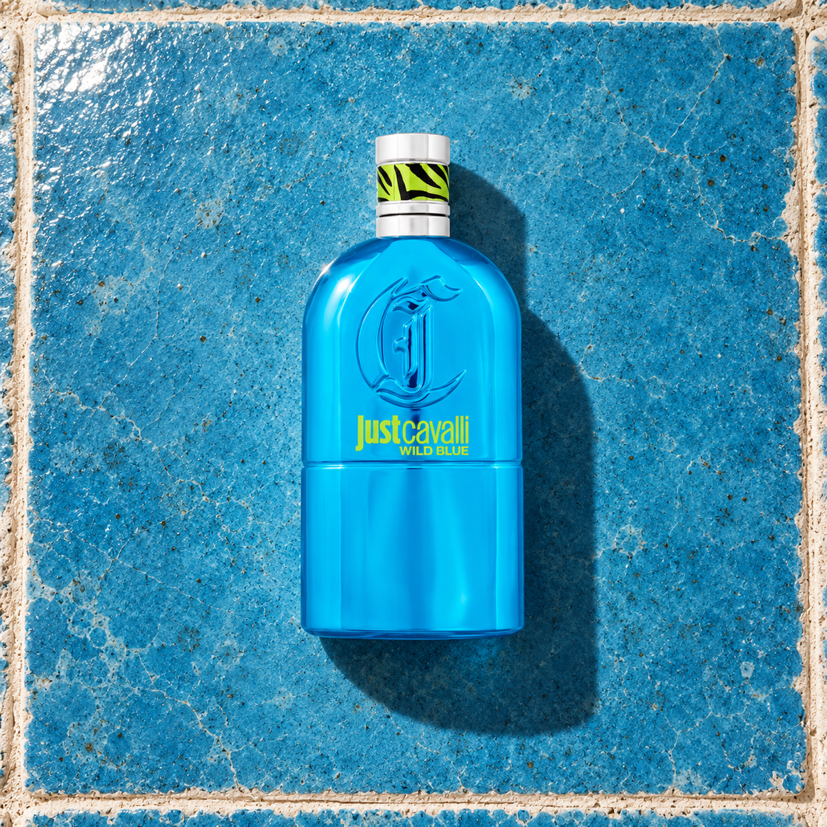 Roberto Cavalli Just Cavalli Wild Blue 90 ml – parfém v prostředí, pohled shora s bočním stínem