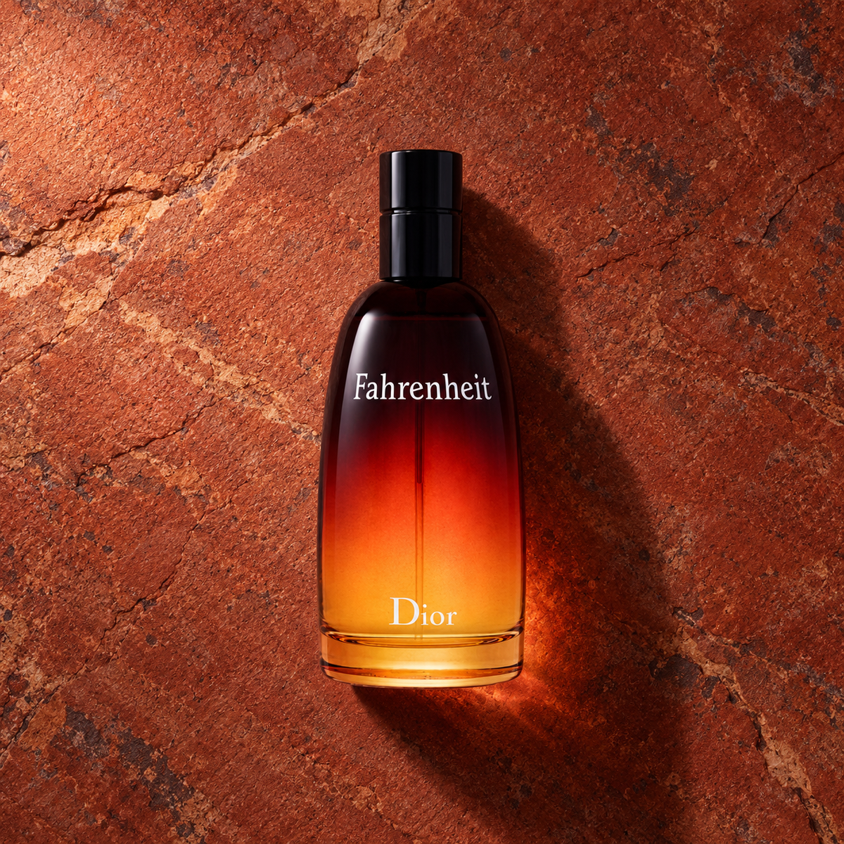 Dior Fahrenheit EDT 100 ml – parfém v prostředí, pohled shora s bočním stínem
