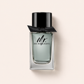 Mr. Burberry EDT 100 ml – MrRizz
