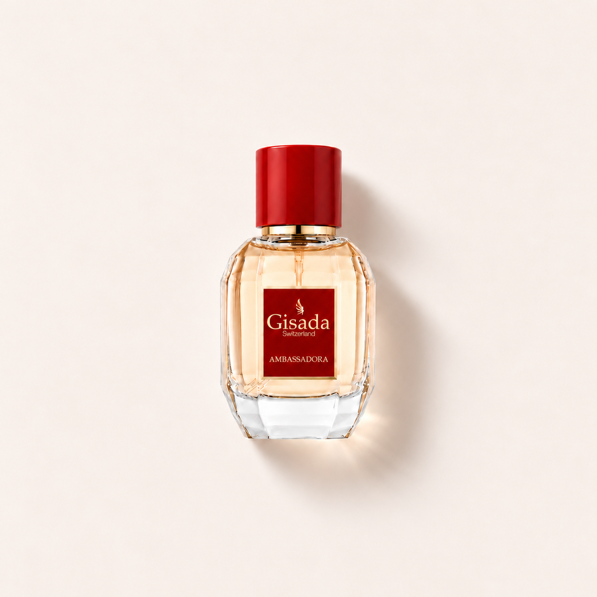 Gisada Ambassadora, parfémovaná voda 50 ml – MrRizz