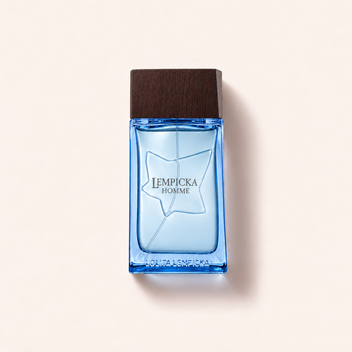 Lolita Lempicka Lempicka Homme, toaletní voda 100 ml – MrRizz