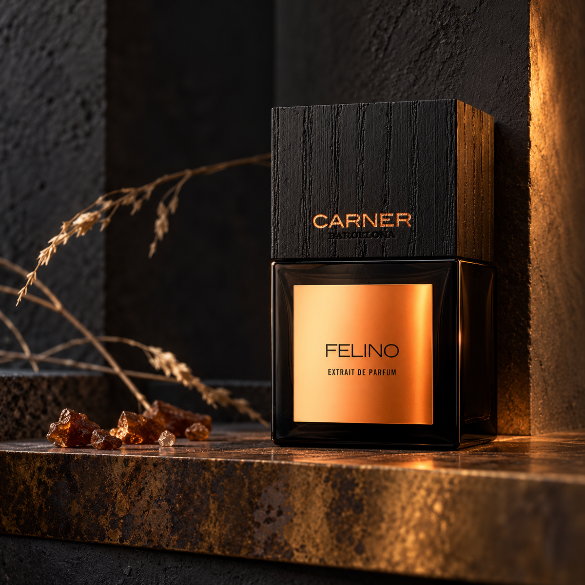 Carner Barcelona Felino 50 ml – atmosférická fotografie – MrRizz